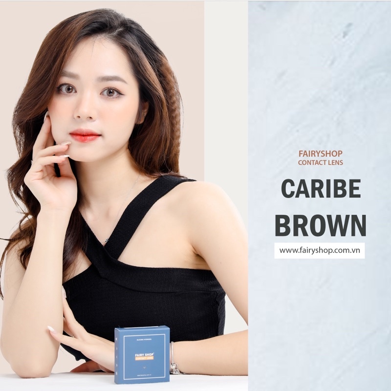 Kính Áp Tròng Cao Cấp Caribe Brown 14.0 - m FAIRY SHOP CONTACT LENS 0 đến 8 độ silicone Hydrogel