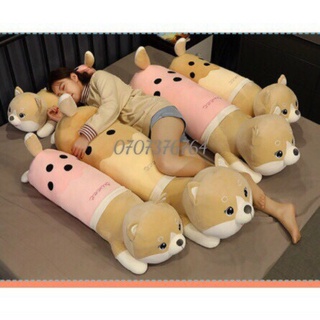 Thú bông gối ôm chó shiba trà sữa 1m2 cute - chất miniso co giãn 4 chiều - xịn xò