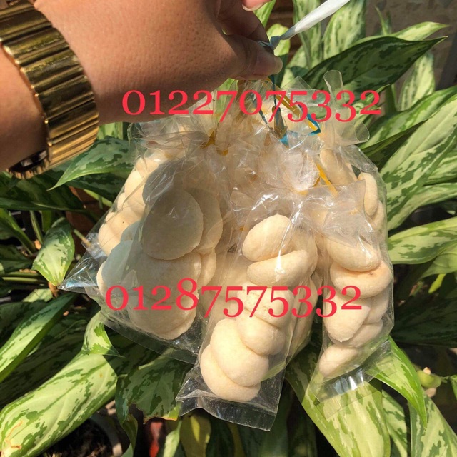 Bánh bao sữa tuổi thơ