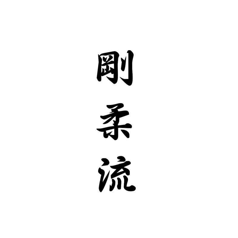 Miếng Dán Trang Trí Xe Hơi In Chữ Trung Quốc Kanji 16cmx4.4cm Thời Trang