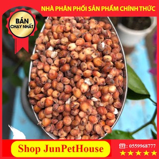 Hạt bobo đỏ thức ăn cho chim, pet, hamster