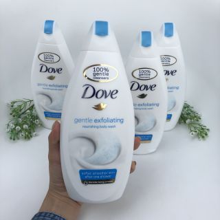 DOVE