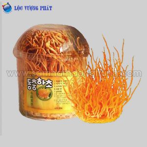 Bông đông trùng hạ thảo