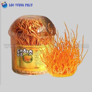 Bông đông trùng hạ thảo
