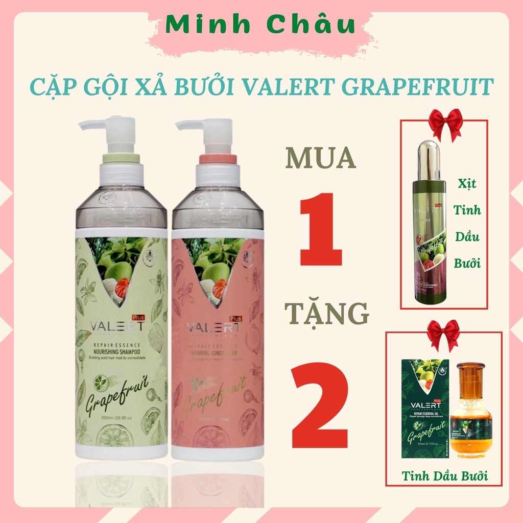 Dầu Gội Bưởi Valert Minhchau Cặp Dầu Gội Xả Bưởi Valert Grapefruit Giảm Tóc Gãy Rụng Khô Sơ Hỗ Trợ Kích Thích Mọc Tóc