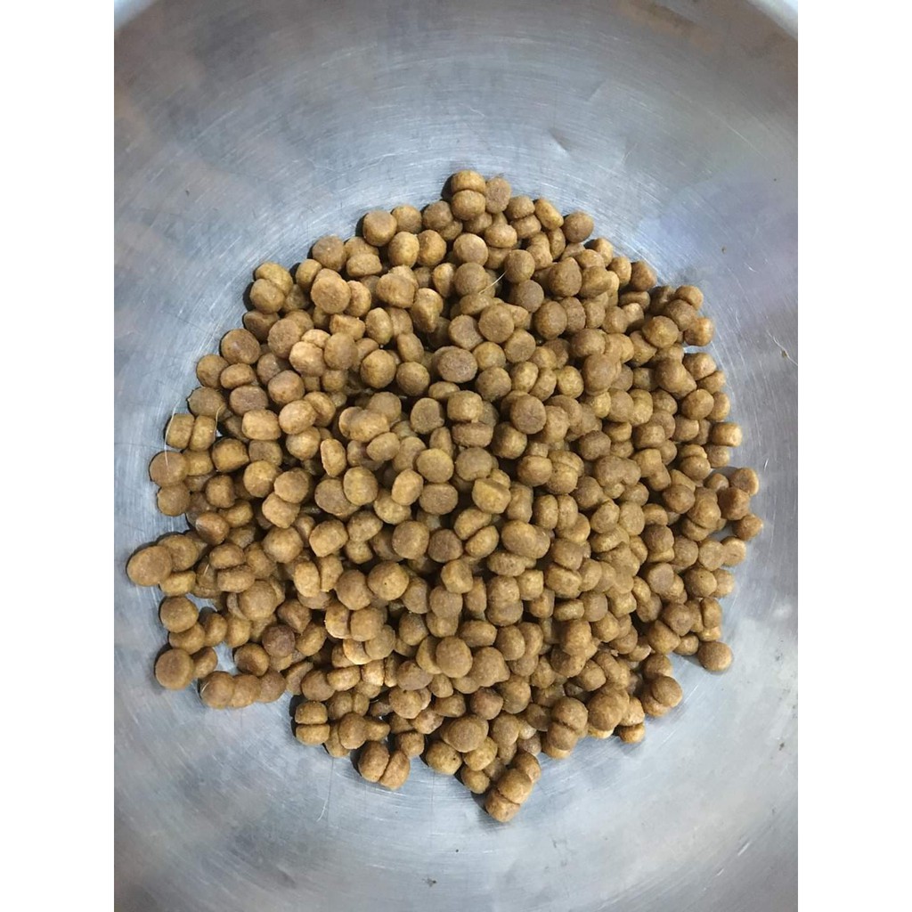 SMART HEART Thức Ăn Khô Dành Cho Chó Bull Pháp - Túi 3kg