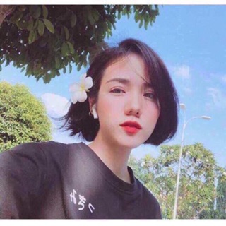 HOA SỨ CÀI TÓC XINH LUNG LINH