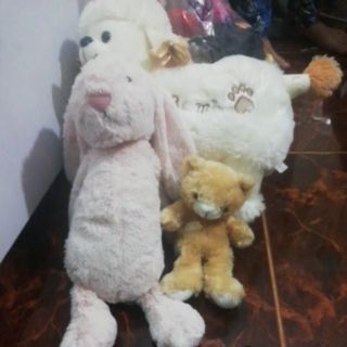 Gấu đẹp giá rẻ
