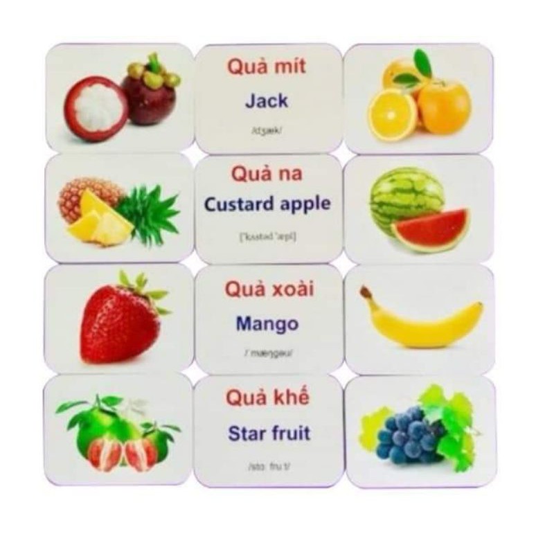 Bộ Thẻ Thông Minh Flashcard Dạy trẻ về thế giới xung quanh  song ngữ Việt Anh Glenn  Doman từ 0-6 tuổi