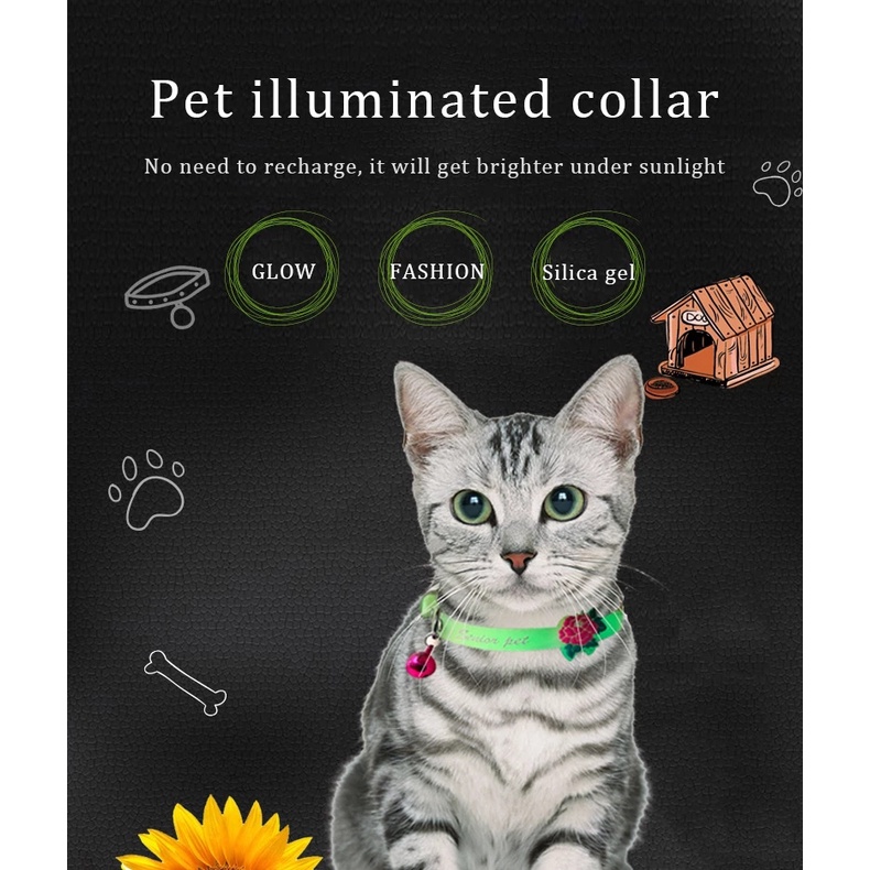 Vòng cổ chó mèo, thú cưng khắc tên