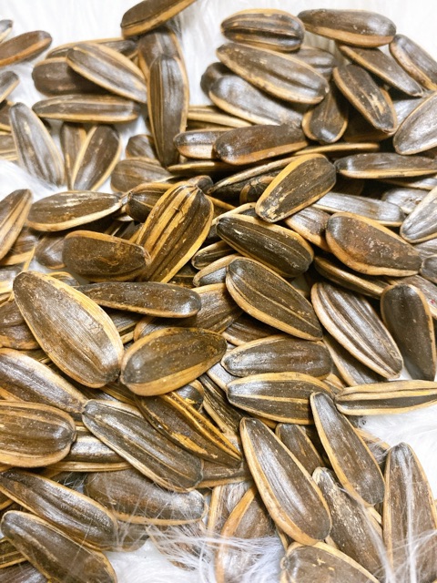 Hạt hướng dương