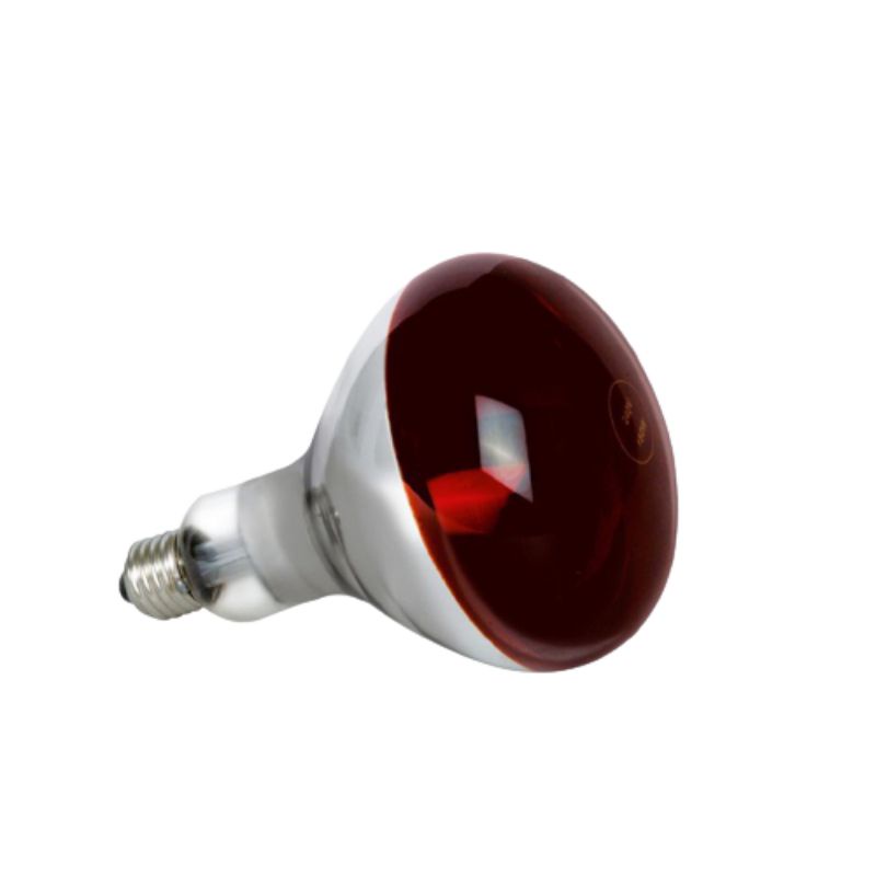Bóng úm gà, úm lợn, bóng hồng ngoại, sưởi ấm gia súc/gia cầm 45W, 75W, 100W, 150W, 175W, 200W tiết kiệm năng lượng