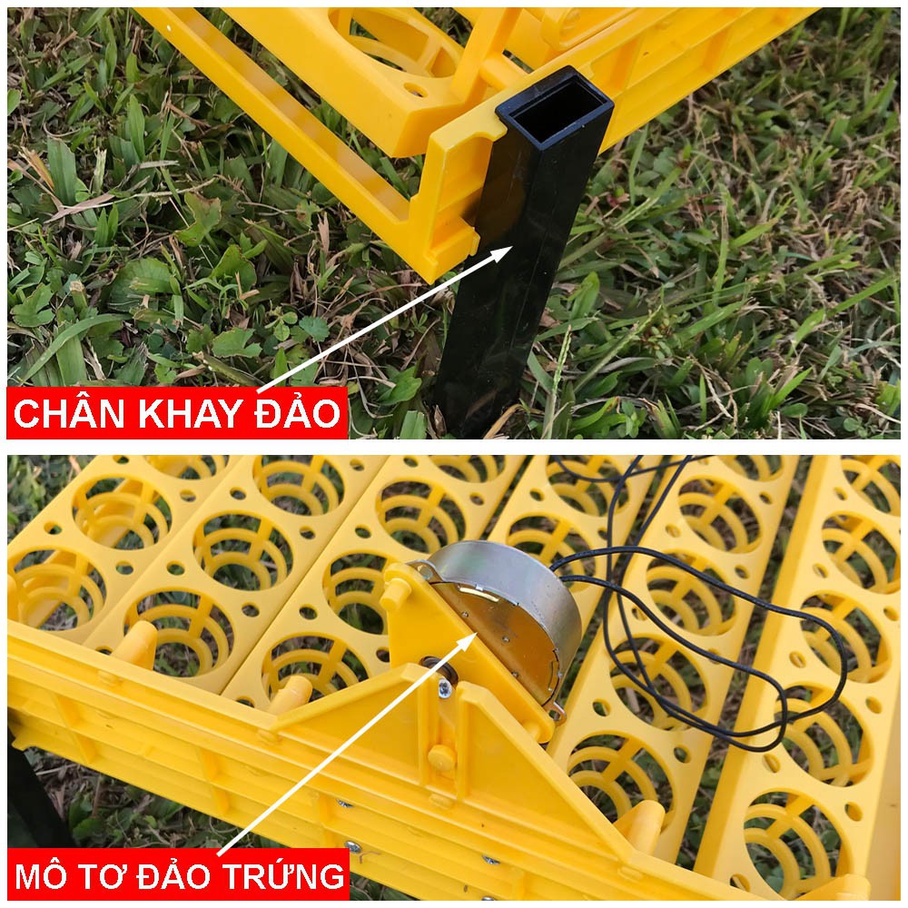 Máy ấp trứng Gà - Ngan - Vịt - Chim bồ câu - Máy đảo tự động - Ấp nở hiệu quả cao . Bảo hành 1 năm sử dụng