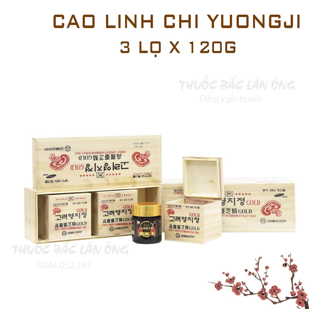 Cao Linh Chi Hàn Quốc YoungJi (Hộp Gỗ Trắng 3 lọ) - Thuốc Bắc Lãn Ông
