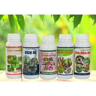 Dịch Trùn Quế HIRYO