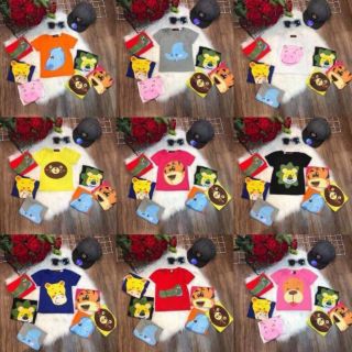 Áo hình thú cotton 4c sỉ lố 48c