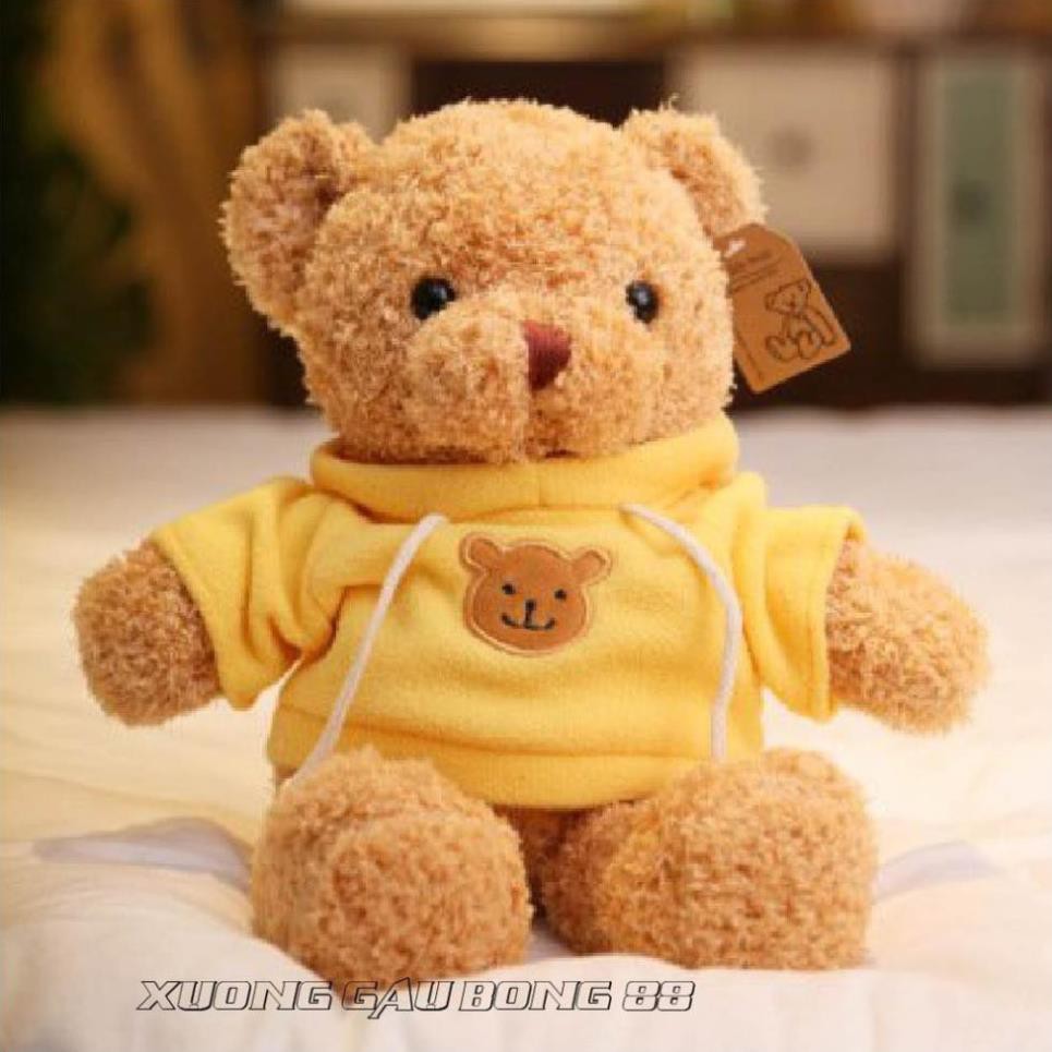 Gấu Bông Đồ Chơi cho bé Teddy Mặc Áo Hoodie Nhiều Màu Nhồi Gòn Cao Cấp Bao Xinh