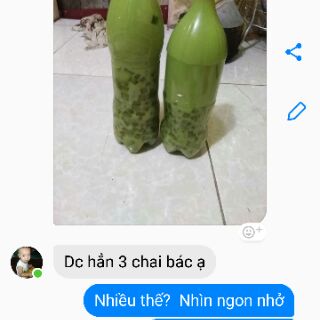 Combo trà thái xanh