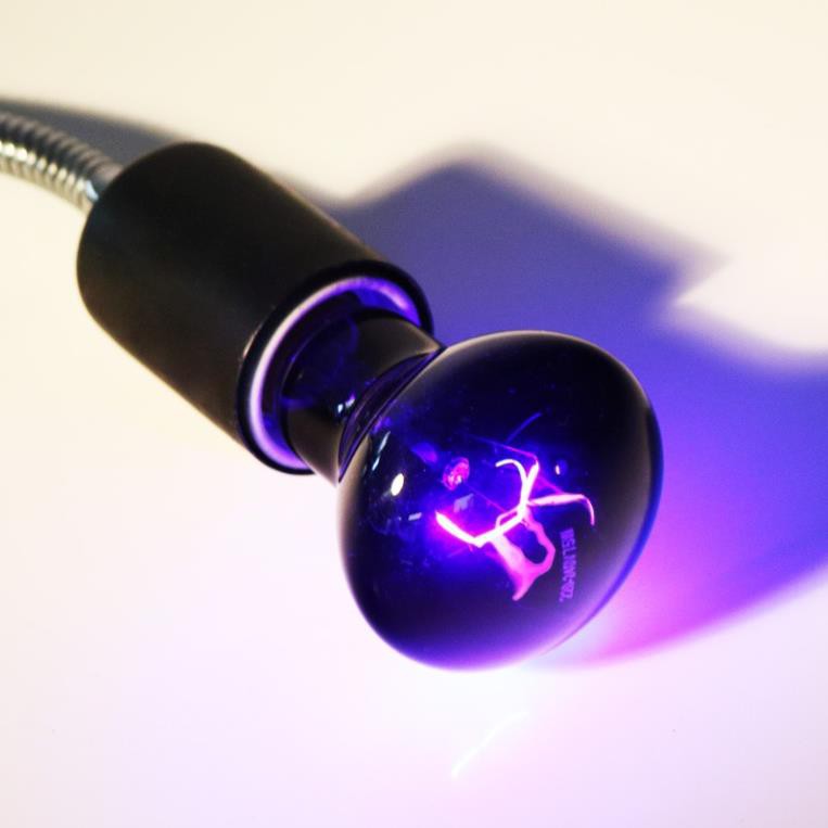 Đèn sưởi đêm cho bò sát .