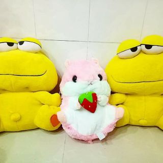 Gấu bông của hân nhi