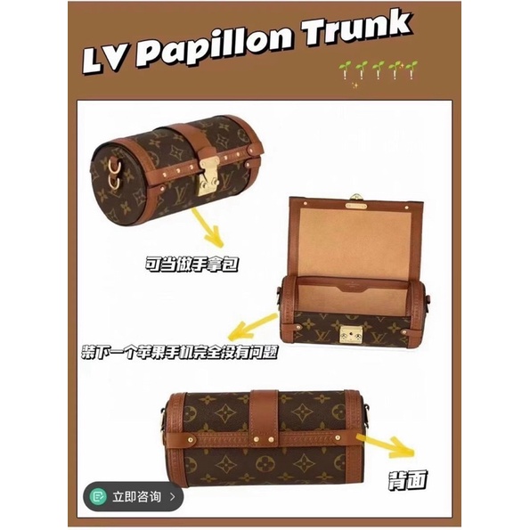 Túi l"V Papillon Trunk