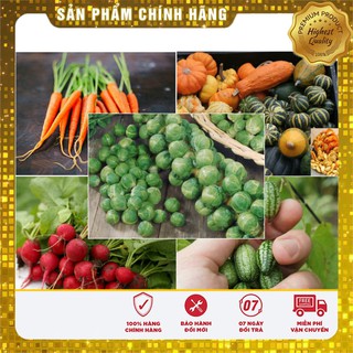 Hạt Giống Cà Rốt Mini Hạt giống cà rốt tí hon