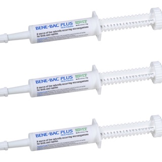 MEN TIÊU HÓA CHO CHÓ MÈO BENE-BAC PLUS ống lớn