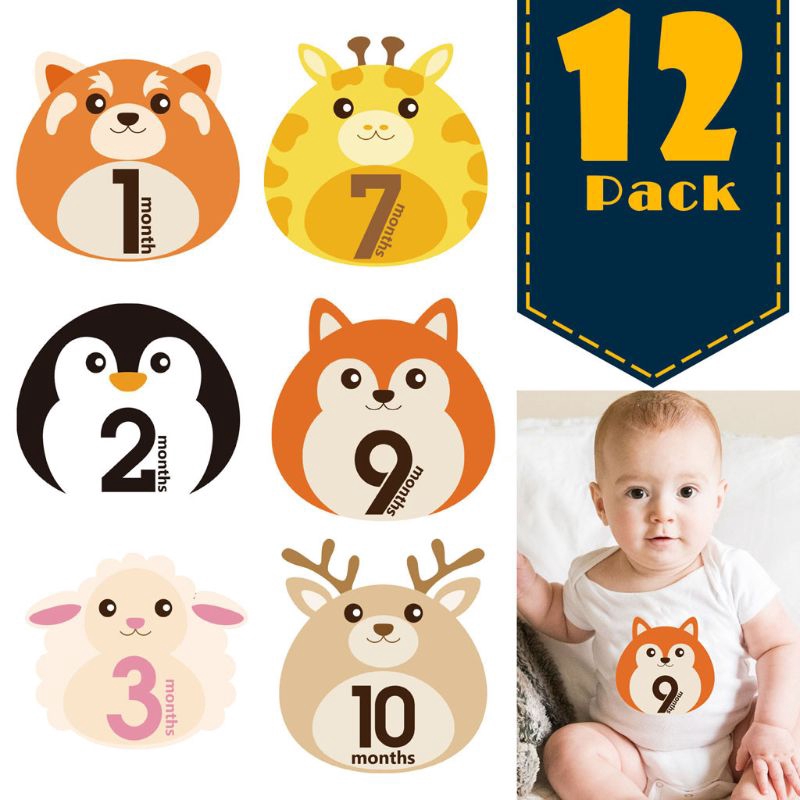 Sticker Dán Trang Trí Hình Động Vật Cho Bé Từ 1-12 Tháng Tuổi
