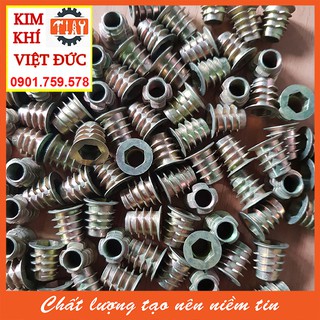 Túi ốc cấy gỗ phi 8 - 100 con