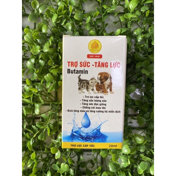Đặc trị tiêu chảy- nôn mửa / trợ sức - tăng lực Win group