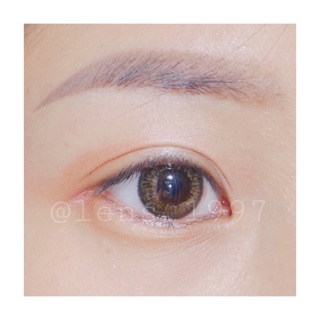 KÍNH ÁP TRÒNG NÂU VÀNG SÁNG NHẸ - LENS MR RIGHT BROWN