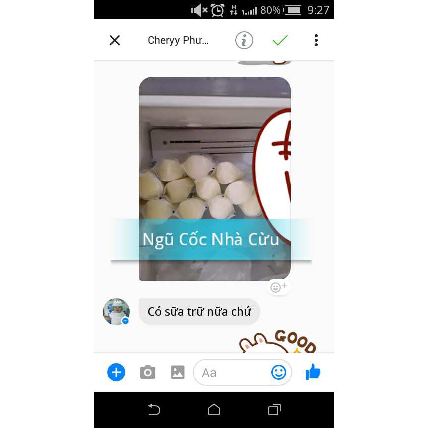 Combo hạt ngũ cốc Thanh nhiệt - Bột ngũ cốc Nhà Cừu Vạn Hương