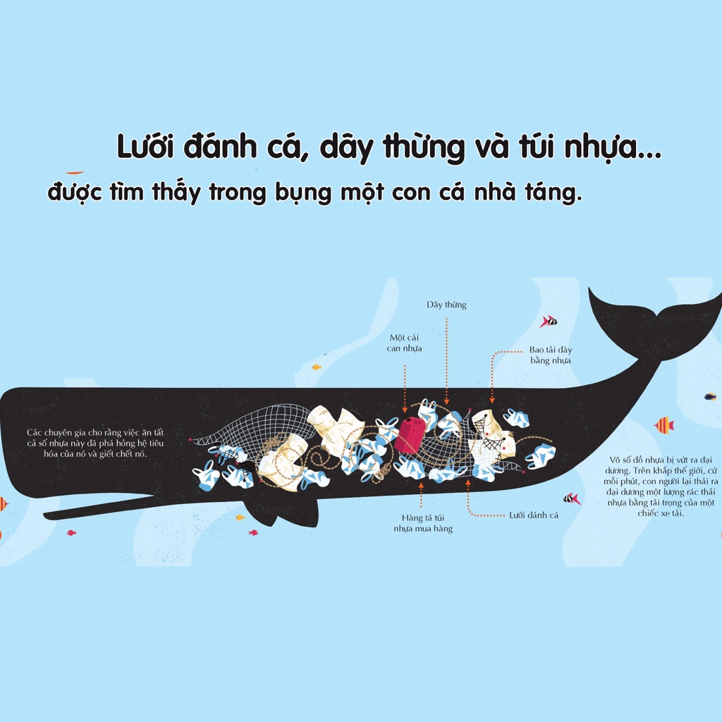Sách - 100 bí ẩn đáng kinh ngạc về Trái Đất - 100 things to know about Planet Earth