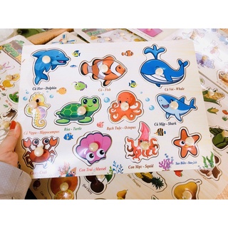 Bảng núm các loại