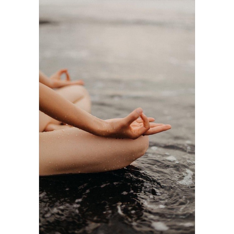 Toner Hoa Sen Thanh Khiết-2022