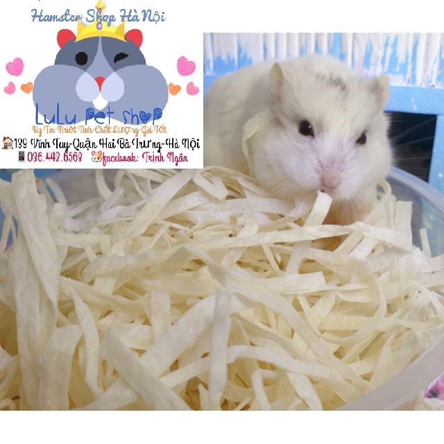 Cá tuyết sợi cho hamster , sóc