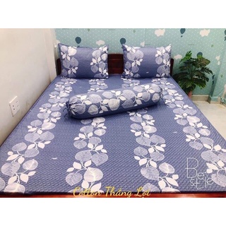 bộ ga m6 ko gối ôm