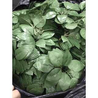 Lá hoa hồng, Bịch 100gr