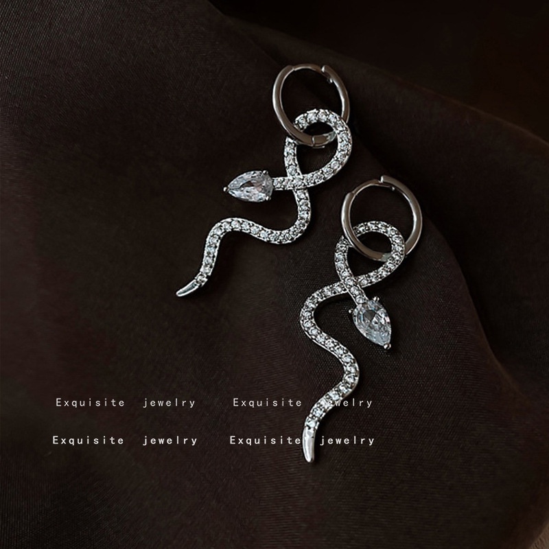 Bông Tai Hình Rắn Thời Trang Đường Phố Hàn Quốc