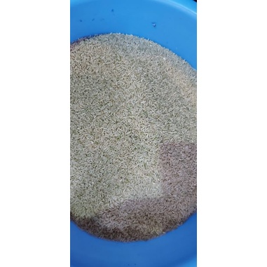 Gạo Lứt Trắng ( Rang Tay 1 kg )