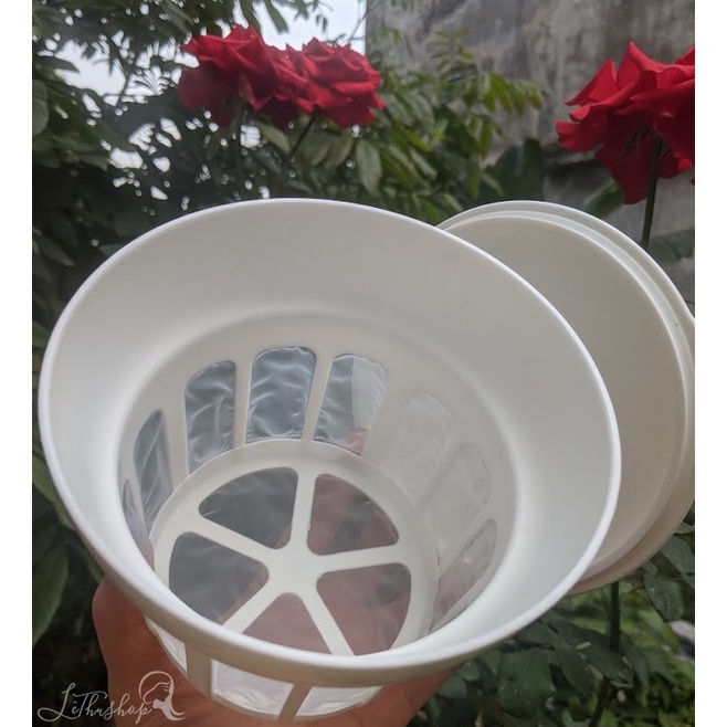Cốc lọc sữa chua Hy Lạp bằng nấm kefir (có nắp)