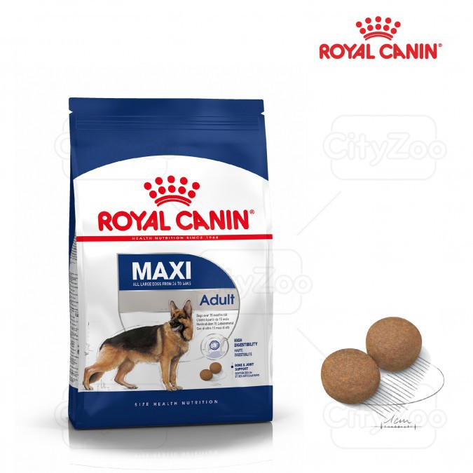 10kg,ROYAL CANIN MAXI ADULT Dành cho chó có (cân nặng tối đa từ 25 - 44 kg) và đang trong lứa tuổi Adult từ 15 thág tuổi