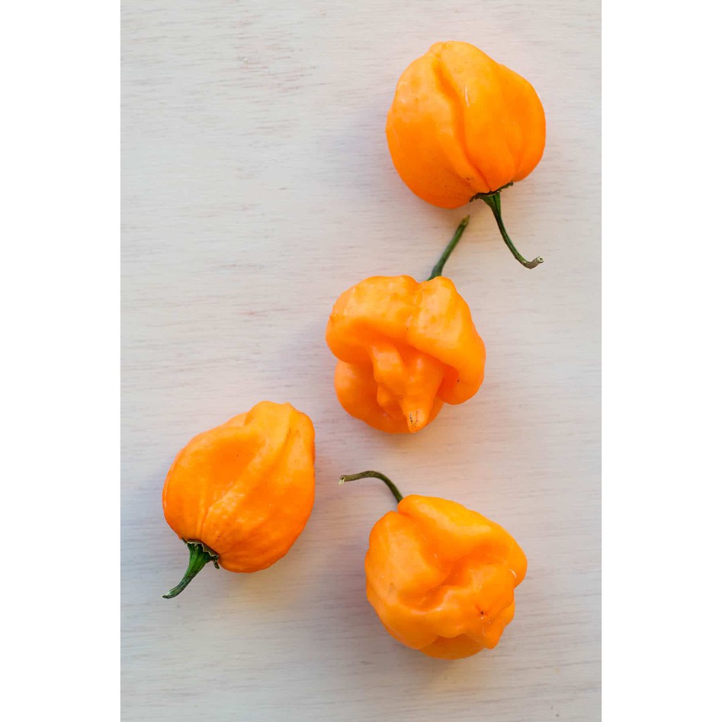 Scotch Bonnet Flakes - Ớt Scotch Bonnet SPICESUPPLY Việt Nam Hũ 45g