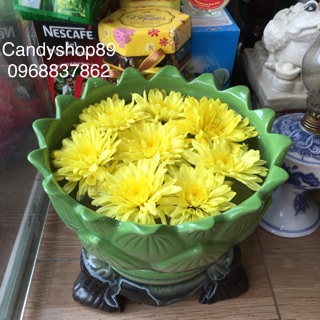 Bát thả hoa kèm đế