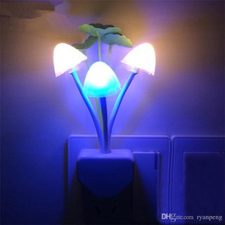 ĐÈN NGỦ CẢM ỨNG NGÀY TẮT TỐI BÂT NHIỀU HÌNH NGỘ NGHĨNH