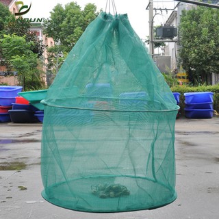 Lưới nuôi cá, tôm, cá, tôm, cá, tôm, tôm, tôm, tôm, tôm, tôm, tôm, tôm, tôm, tôm, tôm, tôm, tôm, tôm, tôm, tôm