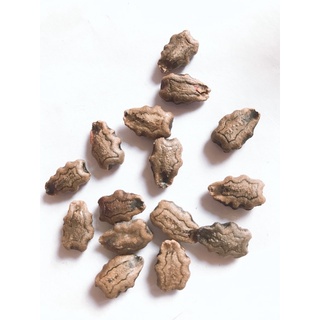 Hạt giống Lặc Lè (15 hạt)
