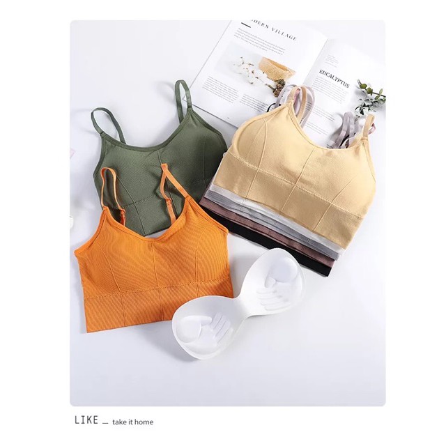 Áo bra gân màu khoét lưng sâu sang chảnh Tập gym, yoga dáng croptop M01 nội y giá tốt