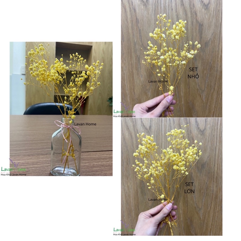 Hoa baby ướp siêu đẹp, siêu bền, siêu rẻ, cắm bình trang trí hoặc trang trí chụp ảnh sản phẩm, làm quà tặng