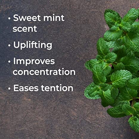 Plant Therapy - Tinh dầu hữu cơ Bạc Hà Lục  - Organic Kidsafe essential oil